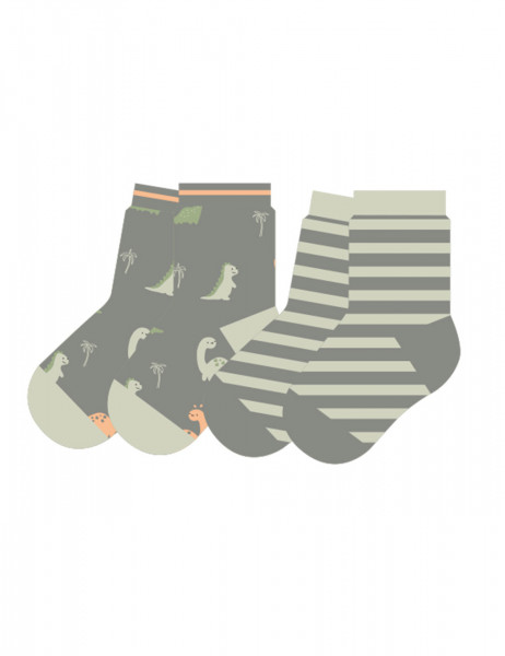 BABY BOY-Socken, Dino, Ringel 2er Pack, glatt
